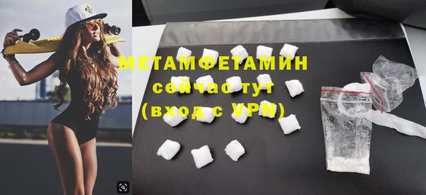 индика Бородино