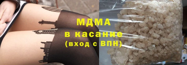 индика Бородино