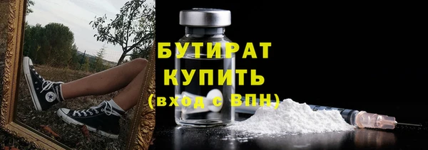 индика Бородино