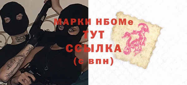 индика Бородино