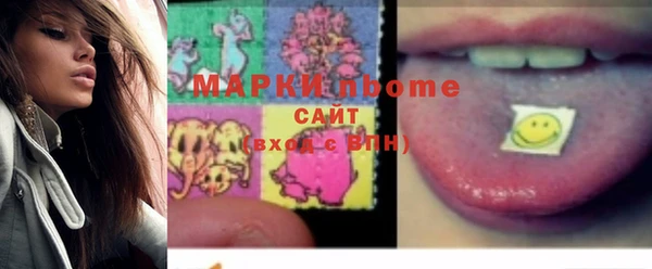 индика Бородино