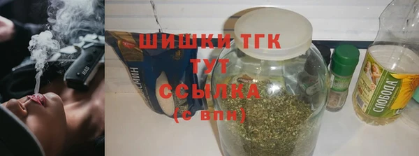 индика Бородино
