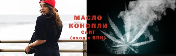 индика Бородино