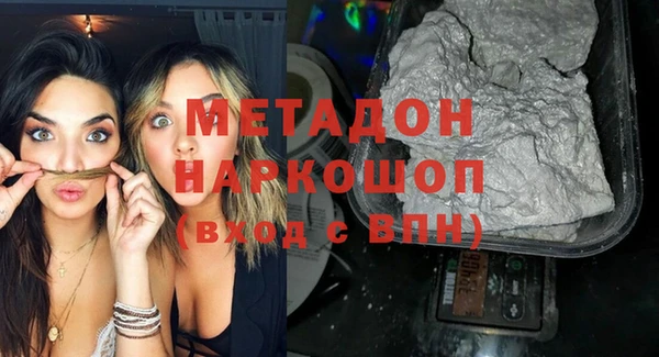 индика Бородино