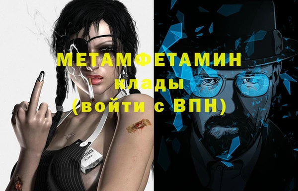 индика Бородино