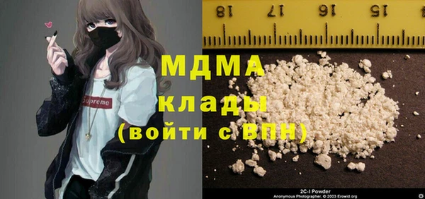 индика Бородино
