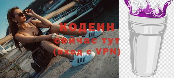 индика Бородино