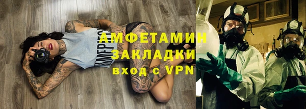индика Бородино