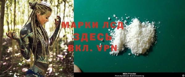 индика Бородино
