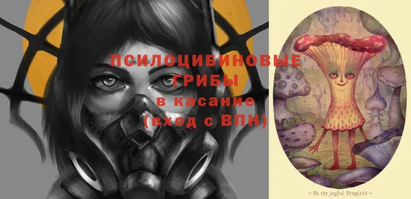 молекула духа Бронницы