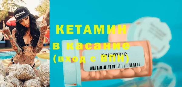 индика Бородино