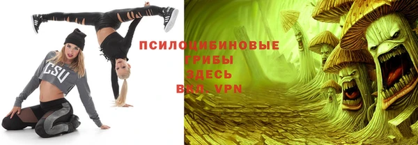 индика Бородино