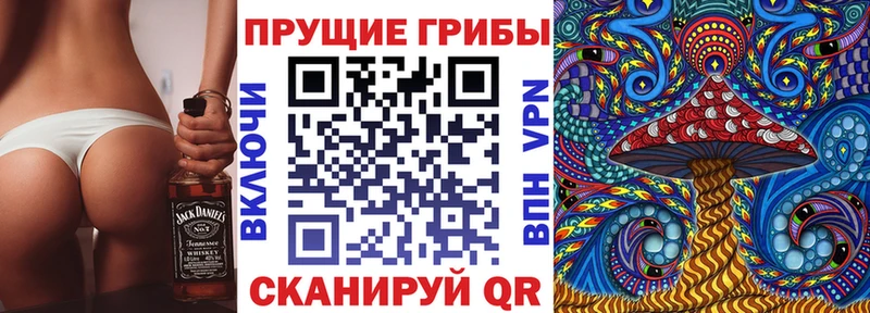Галлюциногенные грибы Psilocybine cubensis  Купить где  Сурск 